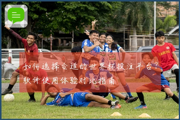 如何选择合适的世界杯投注平台？软件使用体验对比指南