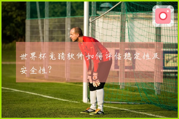 世界杯竞猜软件如何评估稳定性及安全性？