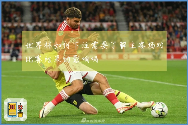 世界杯如何下注需要了解主客场对比赛结果的影响吗