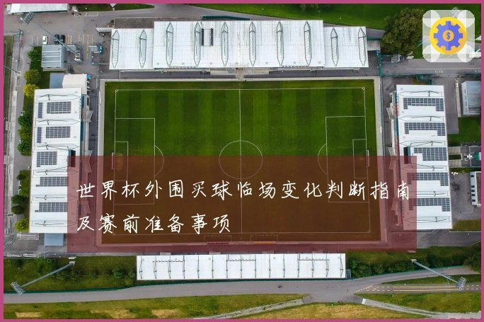 世界杯外围买球临场变化判断指南及赛前准备事项