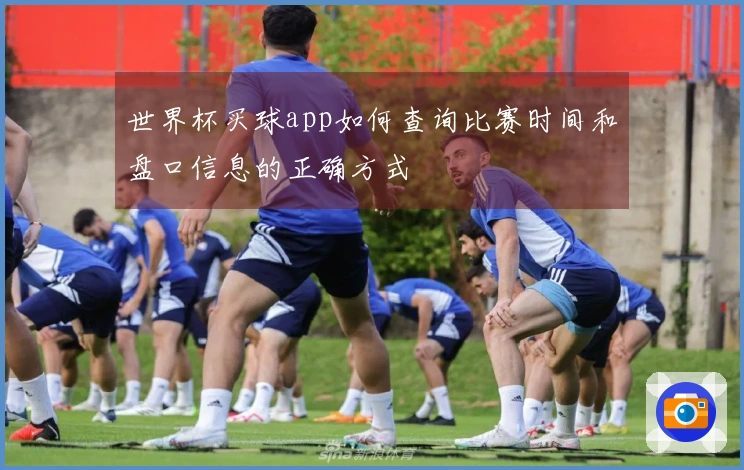 世界杯买球app如何查询比赛时间和盘口信息的正确方式